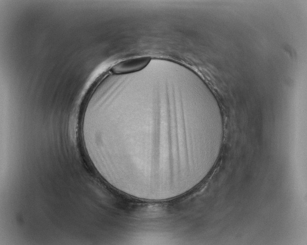 X0000116650056201001041058