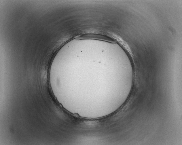 X0000116650057201001041058