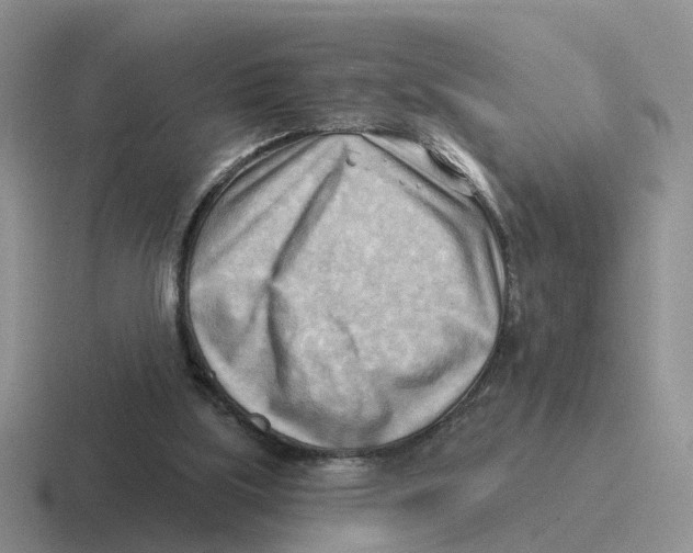 X0000116650059201001041058