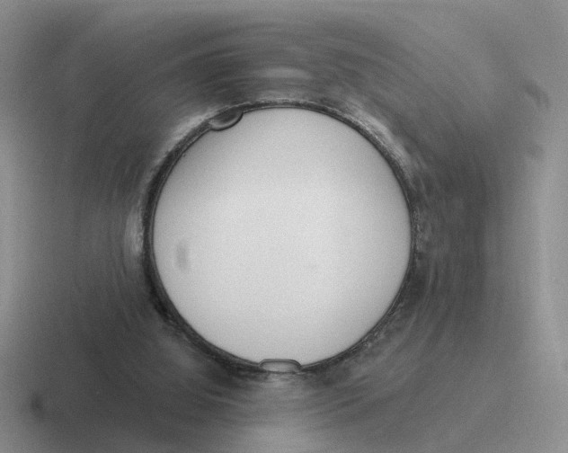 X0000116650060201001041058