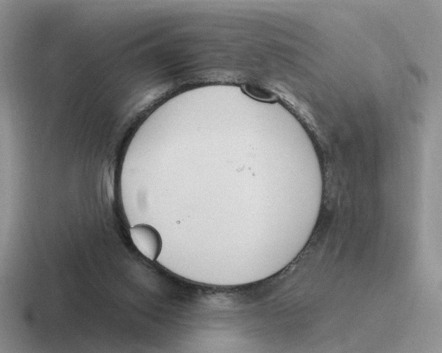 X0000116650062201001041058