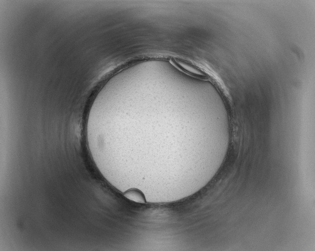 X0000116650063201001041058