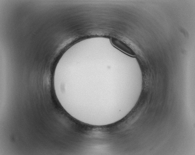 X0000116650064201001041058