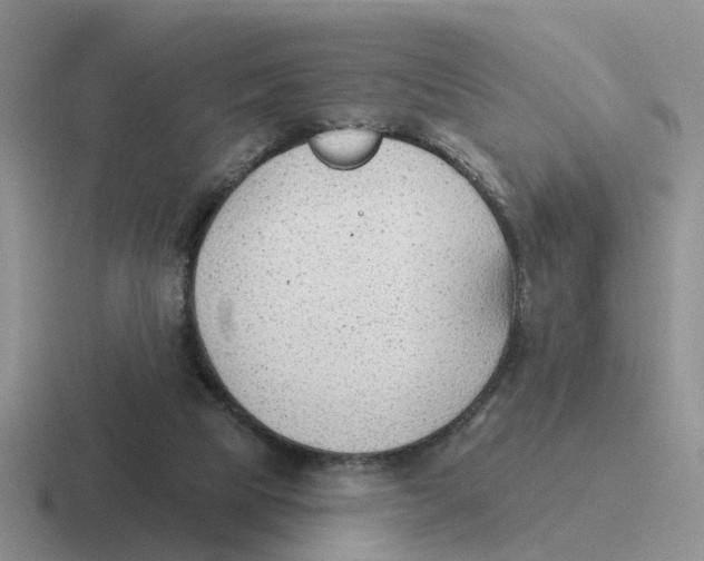 X0000116650065201001041058