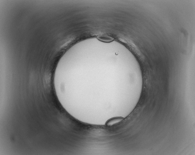 X0000116650066201001041058