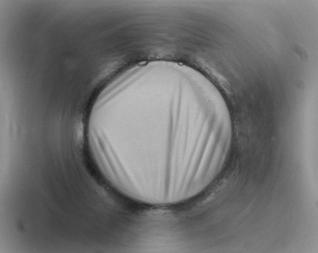 X0000116650067201001041058