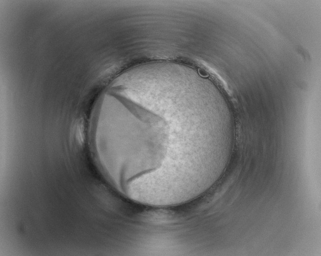 X0000116650069201001041058