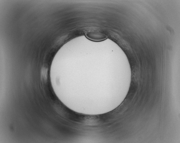 X0000116650070201001041058