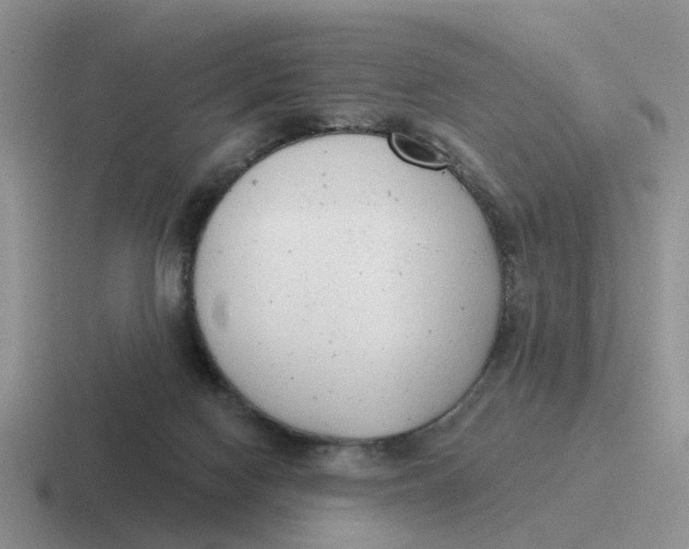 X0000116650074201001041058