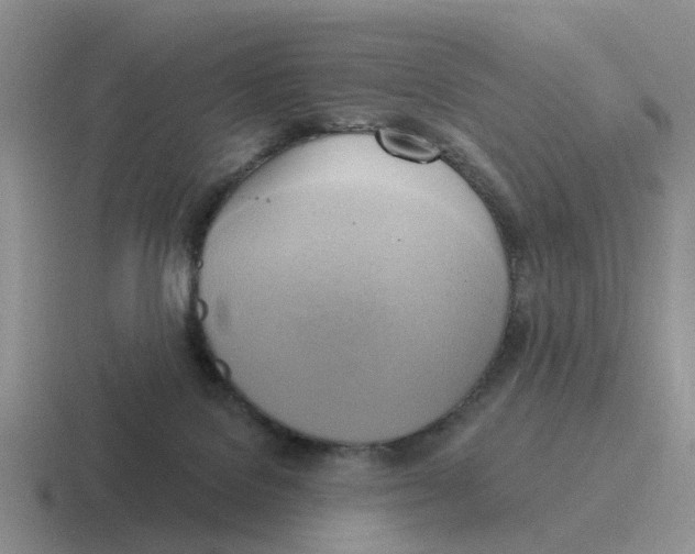 X0000116650076201001041058