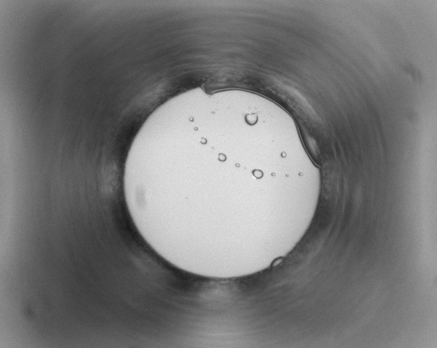 X0000116650077201001041058