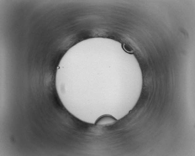 X0000116650079201001041058