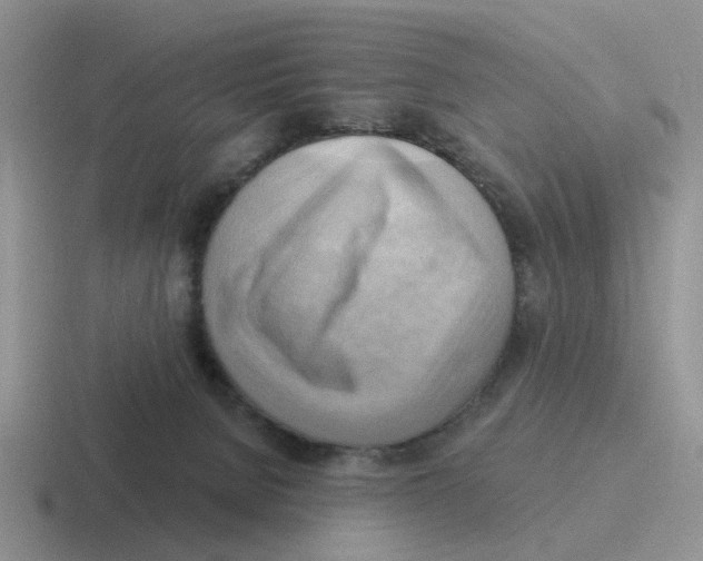 X0000116650080201001041058