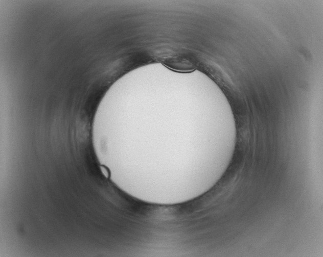 X0000116650081201001041058