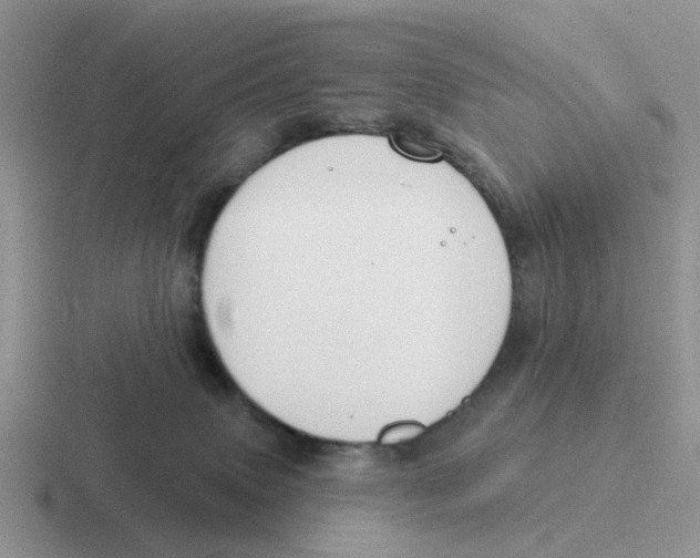 X0000116650083201001041058