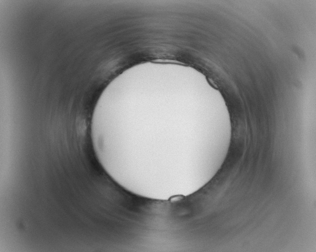 X0000116650084201001041058