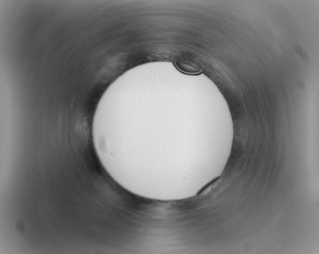 X0000116650086201001041058