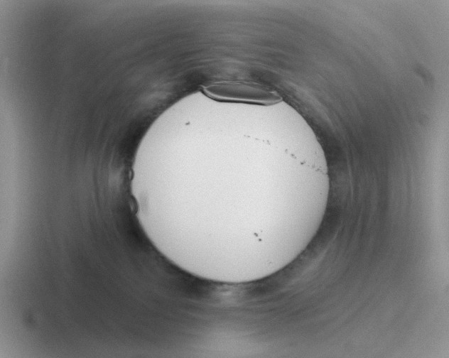 X0000116650088201001041058