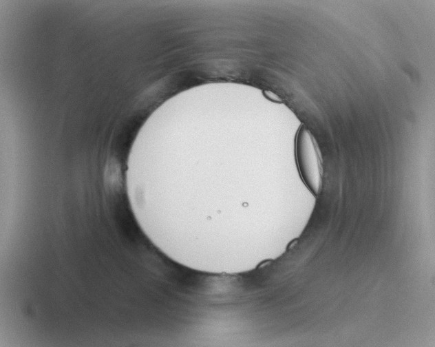 X0000116650089201001041058