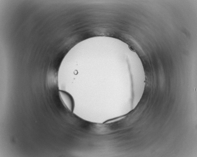 X0000116650095201001041059