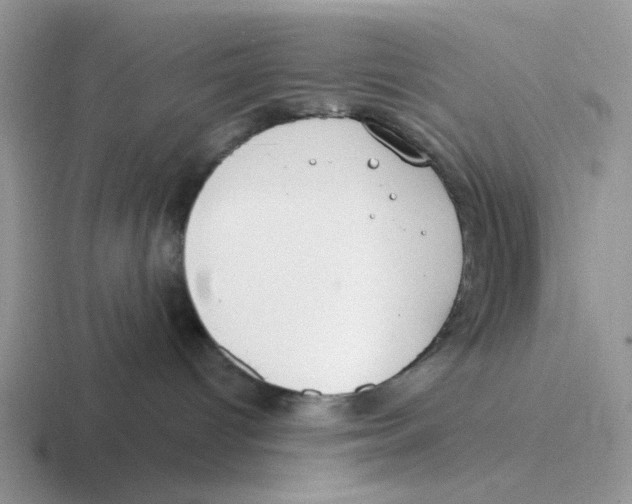 X0000116650096201001041059