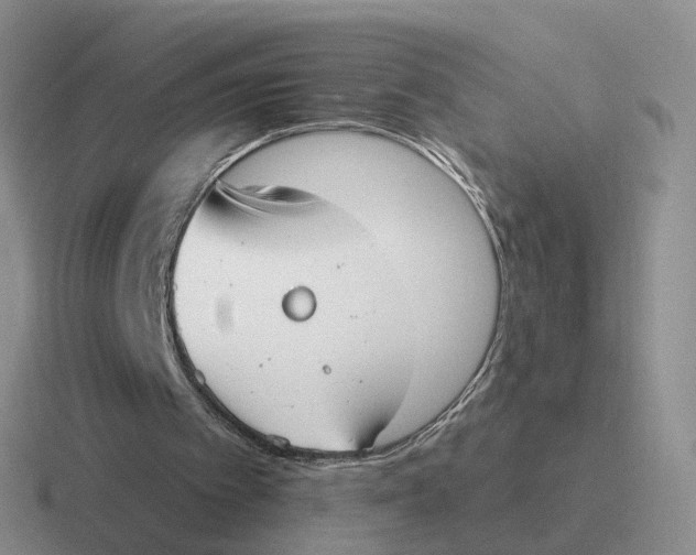 X0000116650097201001041058