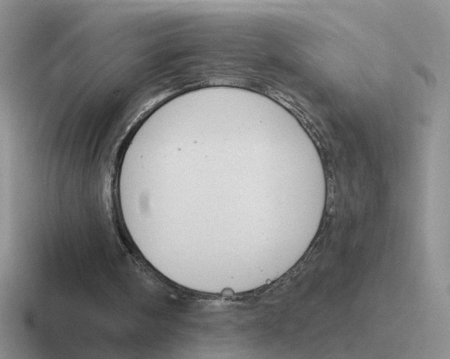 X0000116650098201001041058