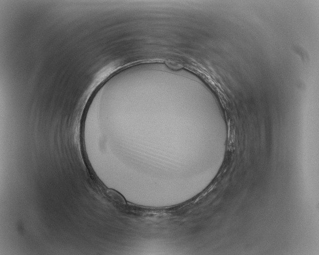 X0000116650099201001041058