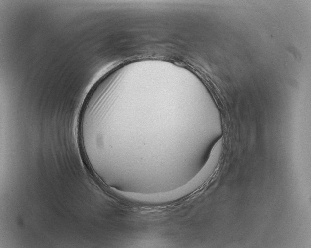 X0000116650100201001041058