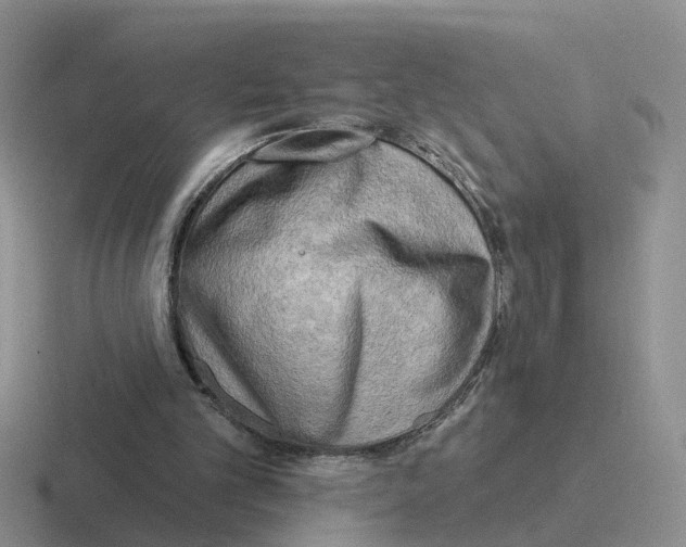 X0000116650101201001041058