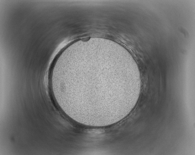 X0000116650102201001041058