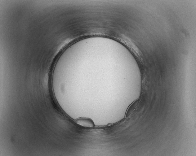 X0000116650108201001041058