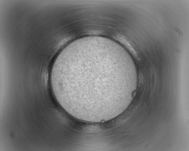 X0000116650110201001041058