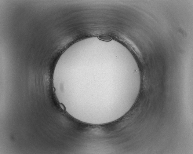 X0000116650113201001041058