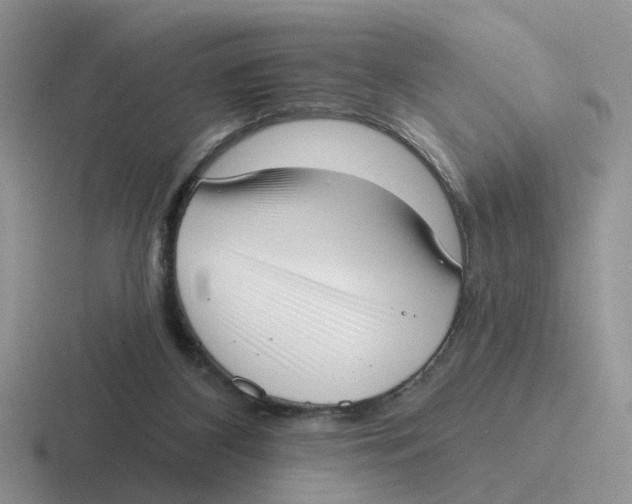 X0000116650116201001041058