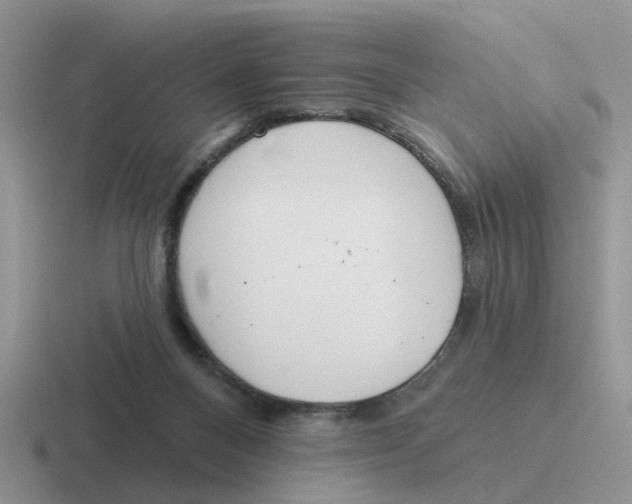 X0000116650120201001041058