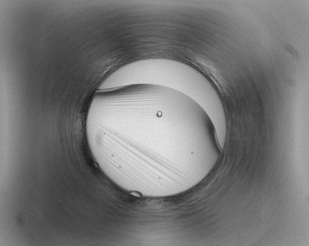 X0000116650121201001041058