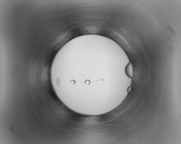 X0000116650122201001041058