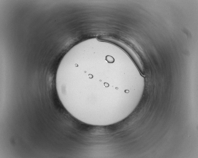 X0000116650123201001041058