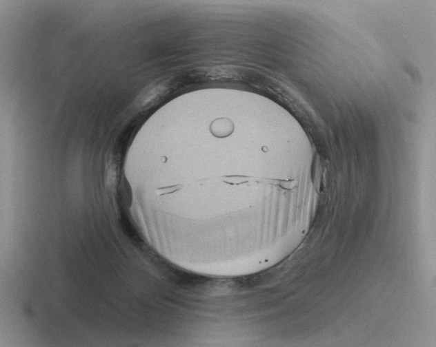 X0000116650124201001041058