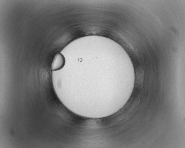 X0000116650126201001041058