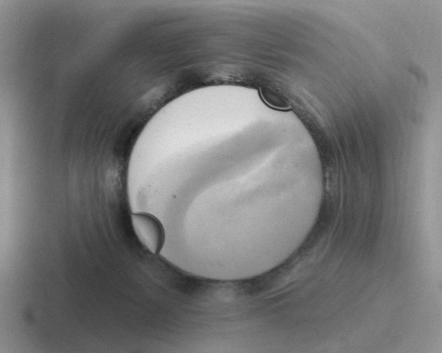 X0000116650127201001041058