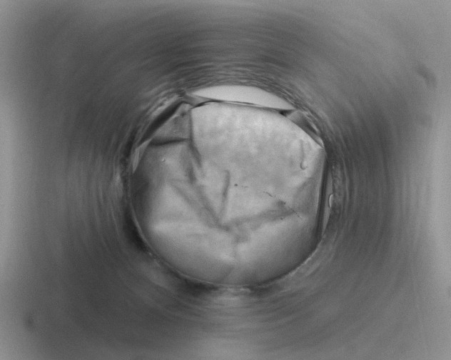 X0000116650128201001041058