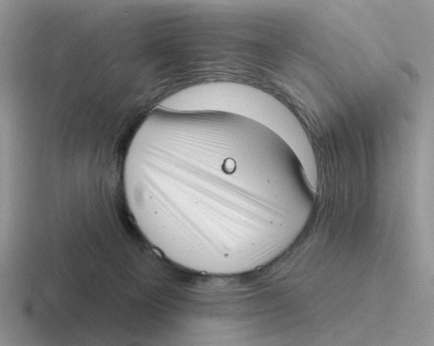 X0000116650129201001041058