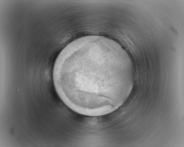 X0000116650131201001041058