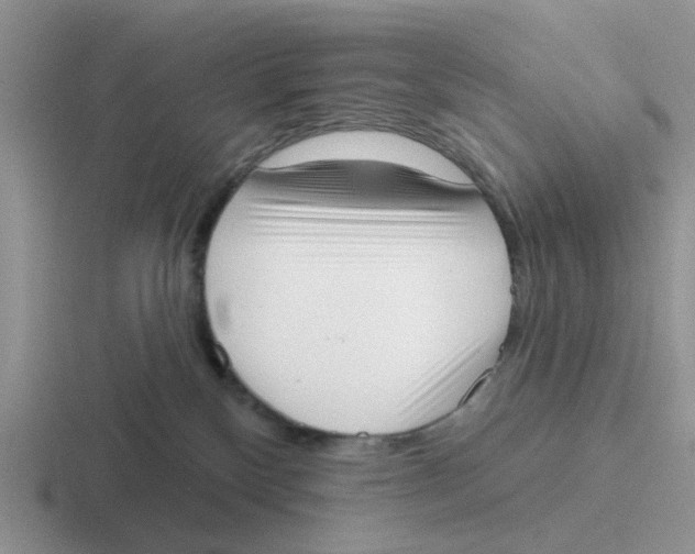 X0000116650136201001041057