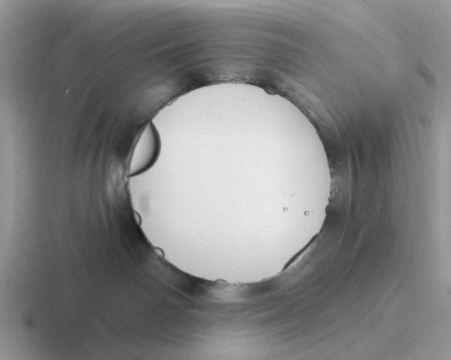 X0000116650142201001041057