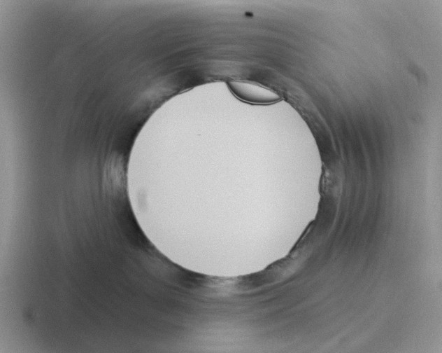 X0000116650143201001041057