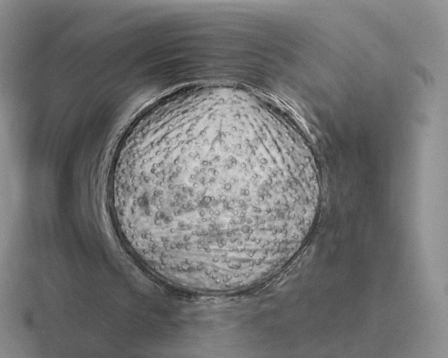 X0000116650145201001041057