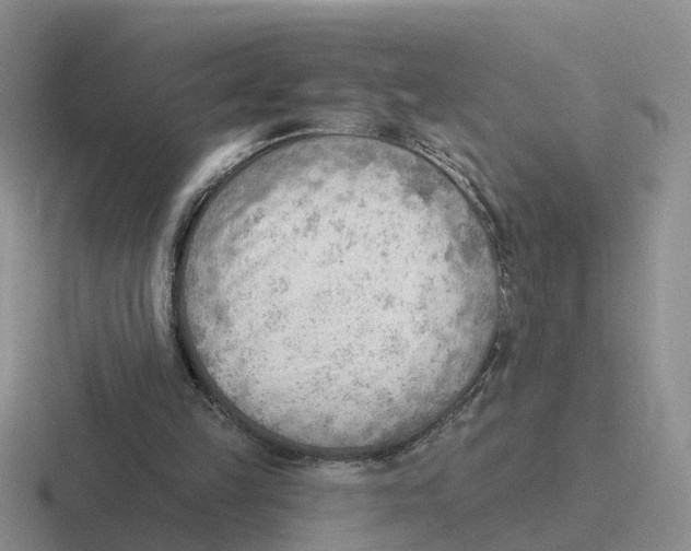 X0000116650149201001041057